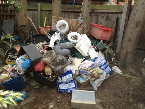 Professional waste removal team at work